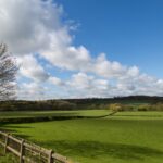 Summer Landscape Free Stock Photo - Public Domain Pictures