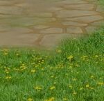 High-waisted jeans outfit