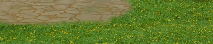 High-waisted jeans outfit